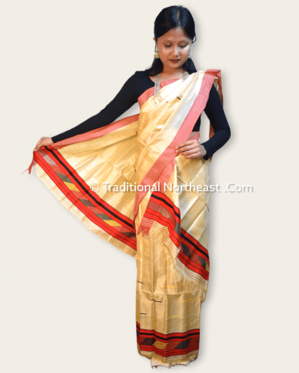 Pure Toss Mekhela Sador set - Image 4