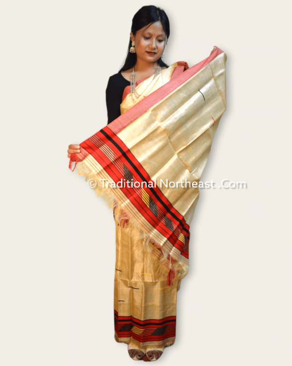 Pure Toss Mekhela Sador set - Image 3