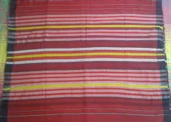 Adorned in Heritage: Exploring the Traditional Attire of the Mishing Tribe in Assam. – Adorned in Heritage: Exploring the Traditional Attire of the Mishing Tribe in Assam. – Traditional NorthEast