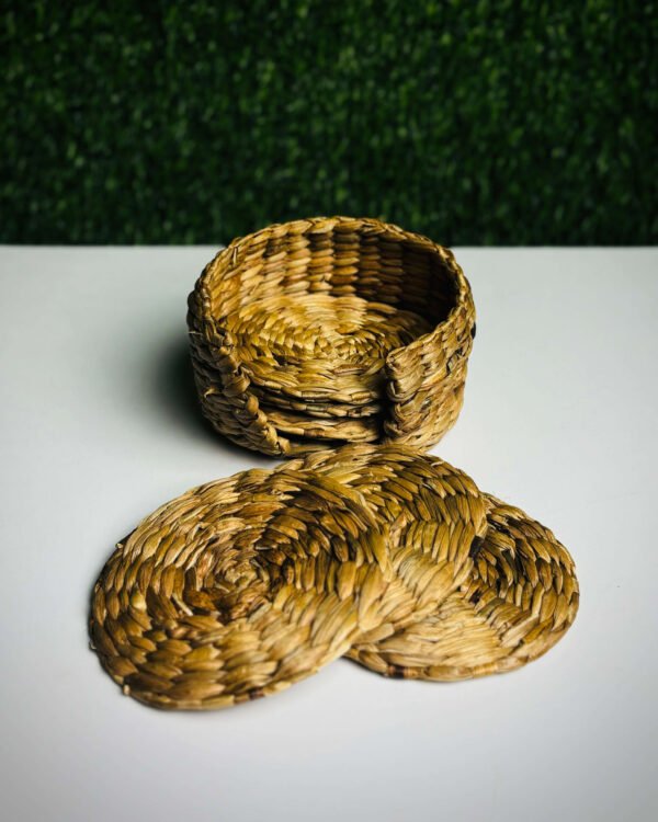 Coster - Water Hyacinth - Image 1