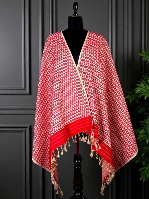 Shawl - Ghisa - Traditional Design - Image 1